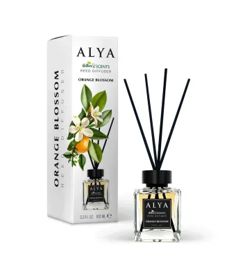 Alya, Fructe de Padure, Odorizant de camera cu betisoare Engros, 100ml